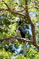 Borneo 2017 (236 of 288)